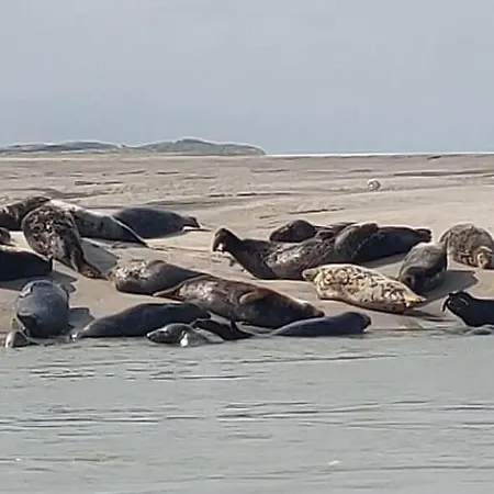 La Poulouchette 200m De La Apartamento